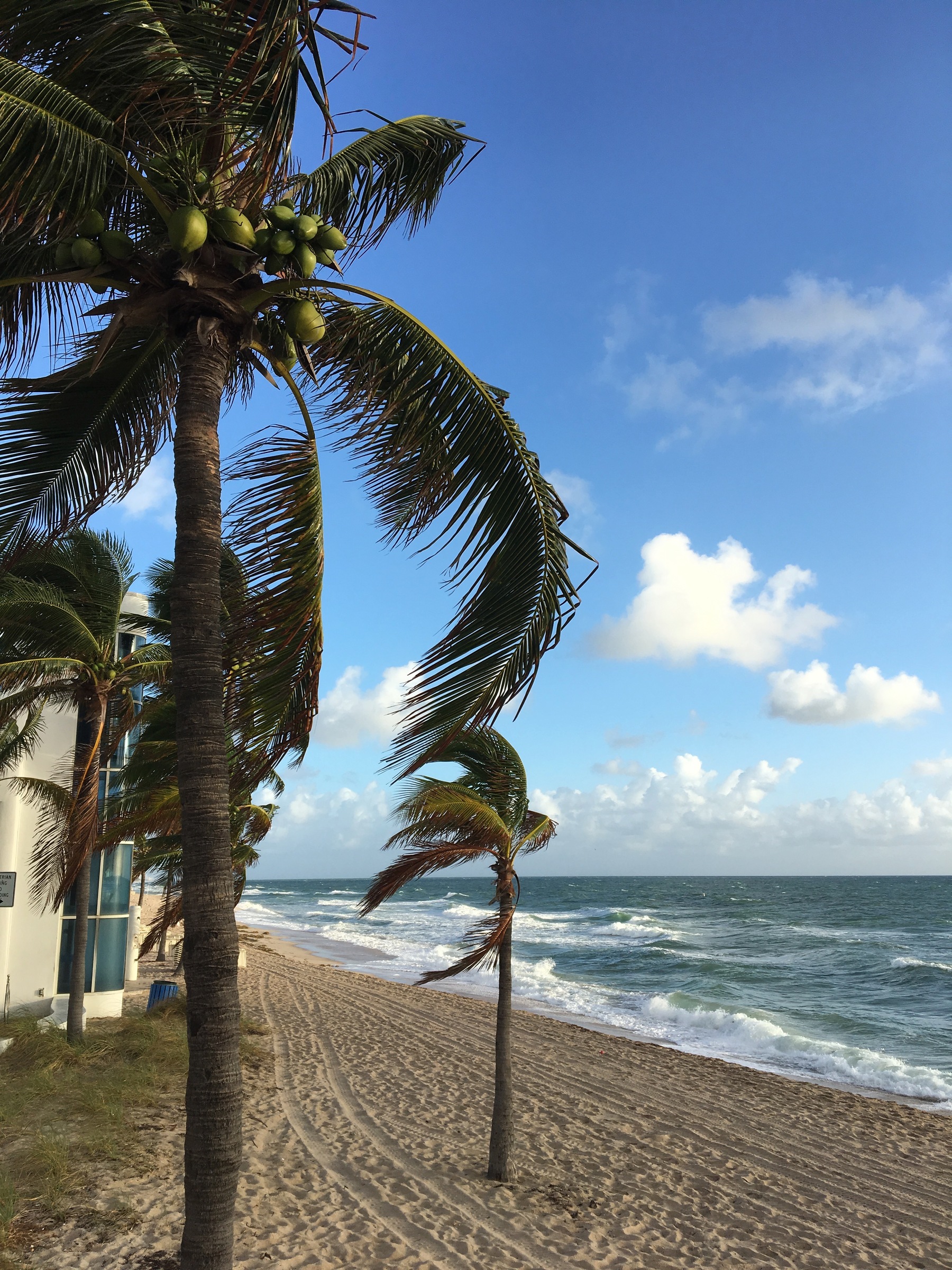 One highlight of the conference: swimming in the Atlantic Ocean!